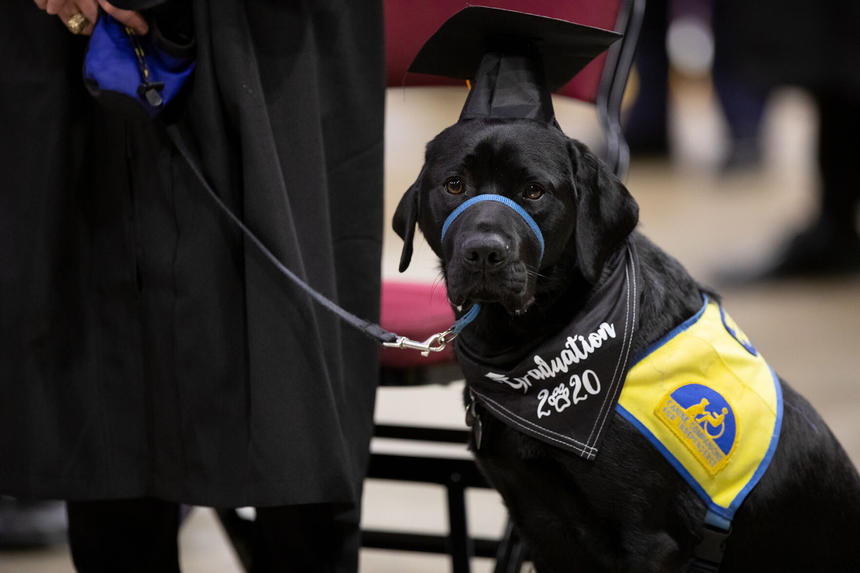 A&M Fall Graduation